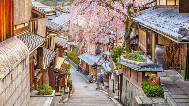 Japan&rsquo;s flower cruise is the best way to witness the beauty of cherry blossoms