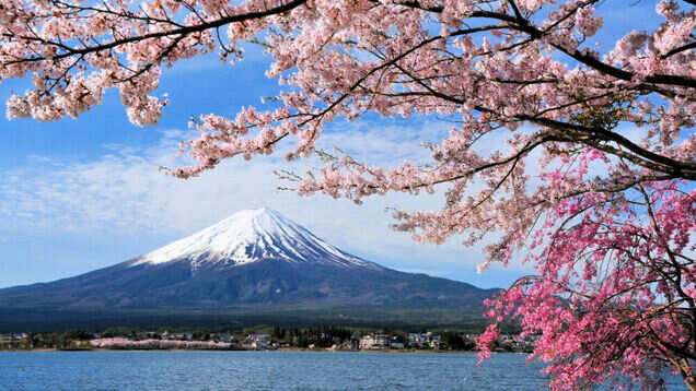 Japan&rsquo;s flower cruise is the best way to witness the beauty of cherry blossoms