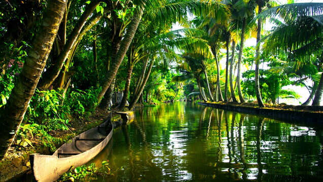 Kerala tourism hits new highs in 2018, despite floods