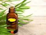 Tea tree oil