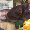 Article image for: People pay tribute to Major Vibhuti Shankar Dhoundiyal martyred in <i class="tbold">pulwama encounter</i>
