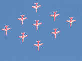 Aero India kicks off with mind-boggling flying skills