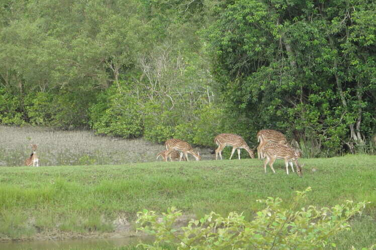 5 popular biosphere reserves in India that deserve a visit 5 popular biosphere reserves in India that deserve a visit