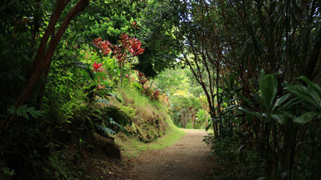 Araku Valley, these offbeat things will make your vacation special