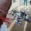Meanwhile, Indian Army has shot down a Pakistani spy drone in Gujarat