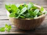 Here is why you need to add mint to your diet