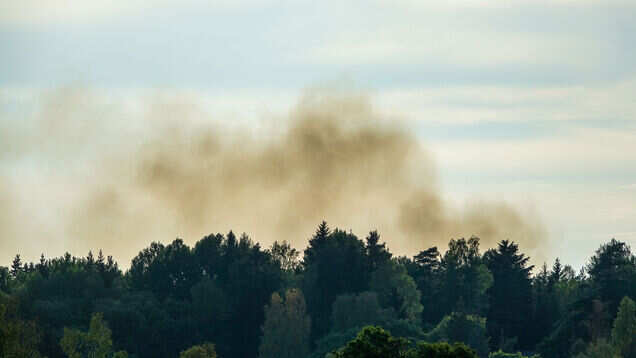 Bandipur forest fire &ndash; how to avoid human error in the future