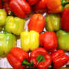 Bell Peppers