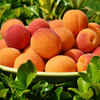 ​Other foods