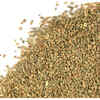 Celery seeds