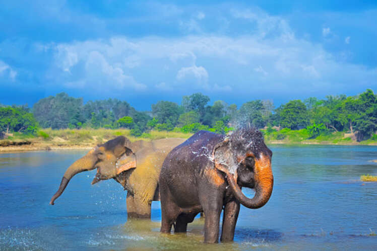 Best zoos in India and why you should visit them Best zoos in India and why you should visit them