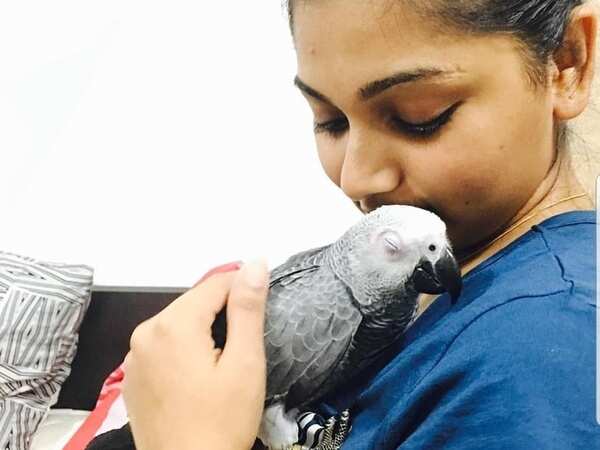 Sreelakshmi Sreekumar Wallpapers