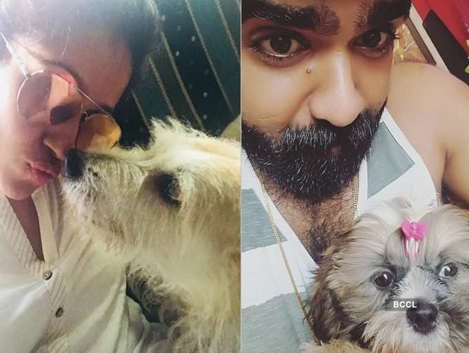 ​Lux to Bella: Take a look at the pets of Malayalam TV celebs