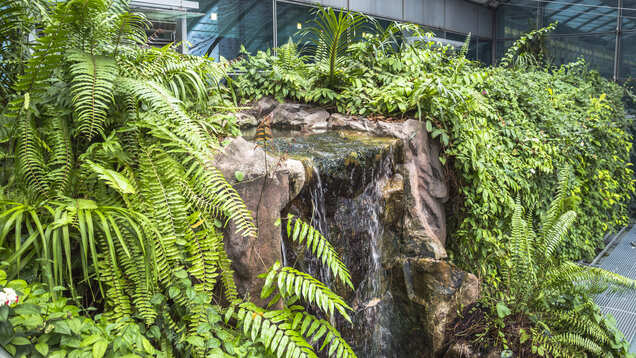 Singapore airport, the best in the world, will soon have an indoor waterfall