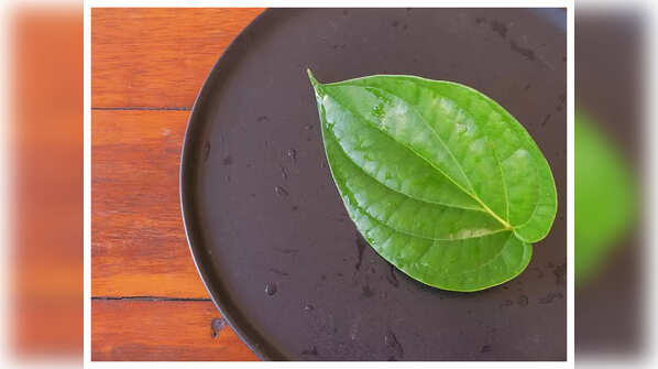 Types of paan