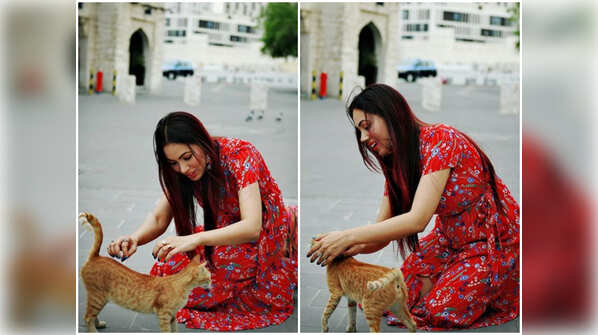 Animal lover
