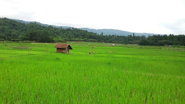 Indian destinations that are perfect for solo woman travellers