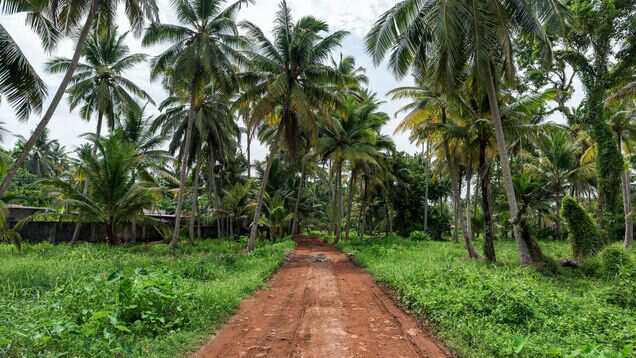 Kerala&rsquo;s Chetikulanagara Bharani festival is a cultural feast