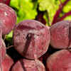 Iran: Turnips