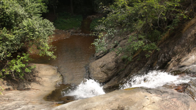 These 5 waterfalls in Kerala make it a haven for nature lovers