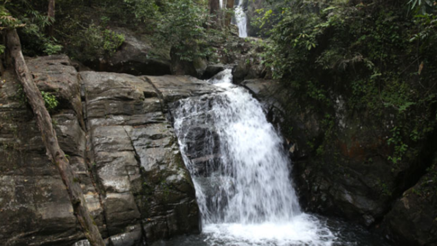 These 5 waterfalls in Kerala make it a haven for nature lovers
