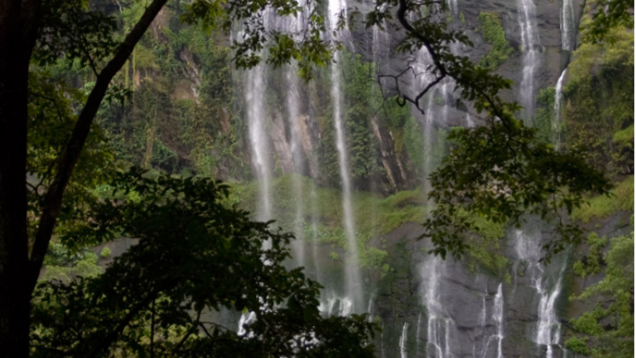 These 5 waterfalls in Kerala make it a haven for nature lovers