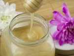 Coconut oil and honey conditioner