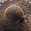 Mustard seeds