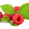 Raspberry leaves