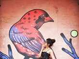 Street art enlivens Delhi's Lodhi Colony
