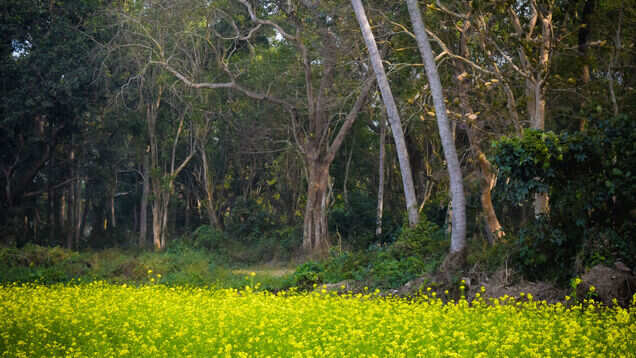 Holi 2019 &ndash; places to go during Holi to escape colours