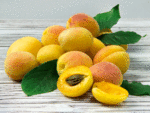 Apricots