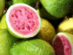 Guava