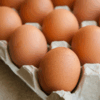 Egg- The House of Choline