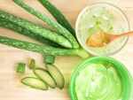 Read about these benefits of aloe vera and put them to use