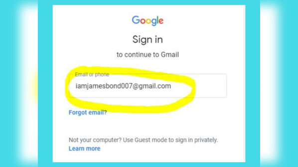 Providing unprofessional email id