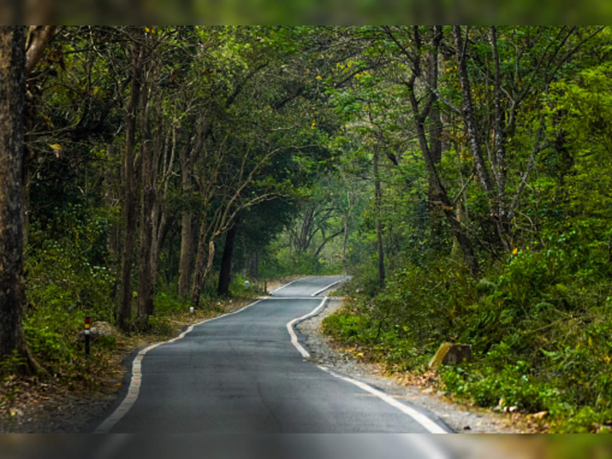 A new route to bring Jim Corbett National Park closer to Delhi NCR