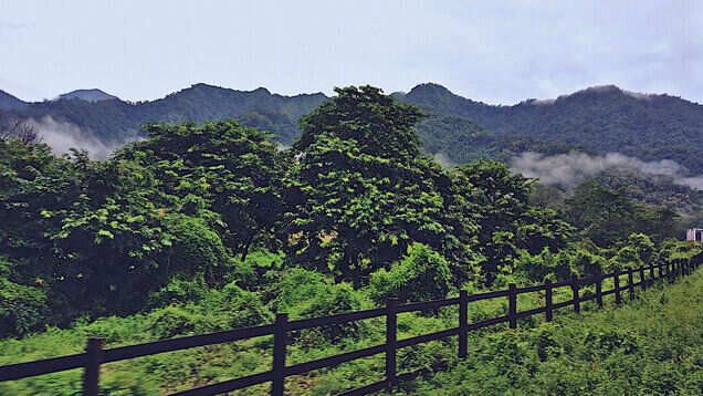North Bengal tourist hotspots to get eco-friendly cottages