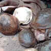 Article image for: Odisha: RPF intercepts gang smuggling 45 turtles to sell in Kolkata
