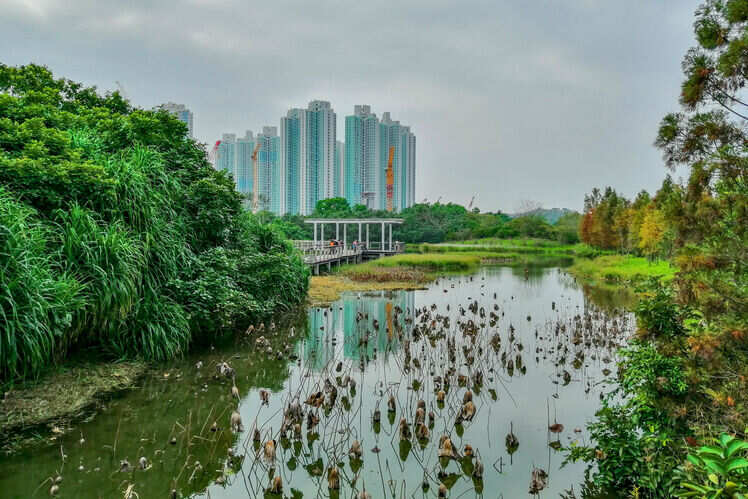 Hong Kong Wetland Park