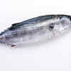 Tuna eyes