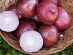 Here's how to use onion juice to boost hair growth