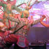 Article image for: Namaste <i class="tbold">thailand</i> festival leaves Delhi spell-bound