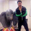 ​Varun Dhawan beams with joy as he poses with Dumbo the elephant