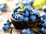 Bilberry