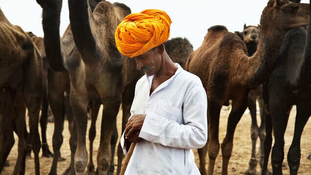 Mewar Festival in Rajasthan welcomes you this April