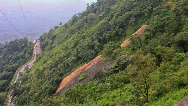 5 things anyone seeking adventure in Wayanad can do