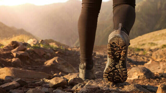 5 things anyone seeking adventure in Wayanad can do
