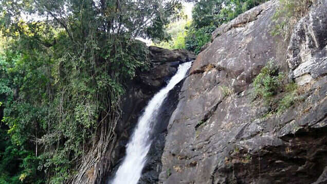 5 things anyone seeking adventure in Wayanad can do