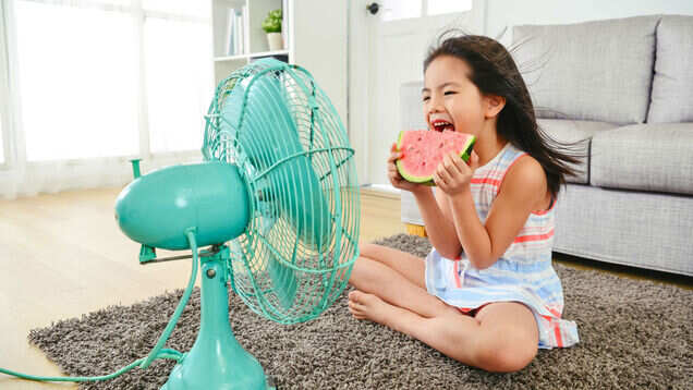 Surviving summer in India &ndash; tricks and tips